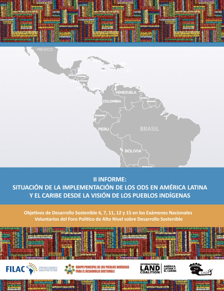 Informe la Situación de la Implementación de los ODS en AL desde la visión de los pueblos indígenas