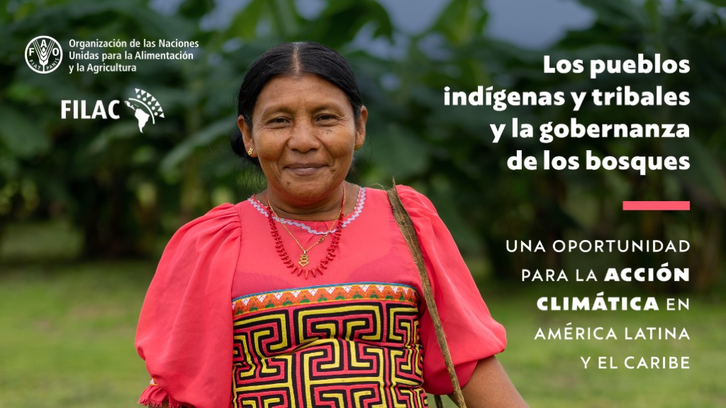 FAO urge inversión en pueblos indígenas para conservar bosques en América Latina