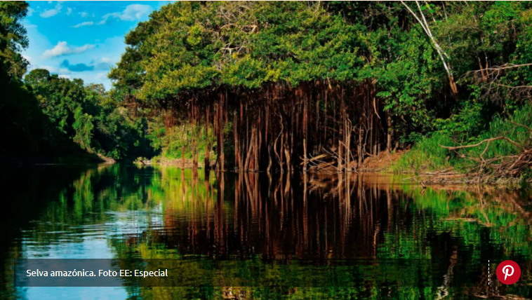 Conservación del planeta será inviable sin los pueblos indígenas