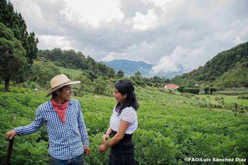 Foro Mundial de Jóvenes Indígenas: Los Sistemas Alimentarios deben contener un enfoque intergeneracional y holístico, reconociendo el derecho de los Pueblos Indígenas
