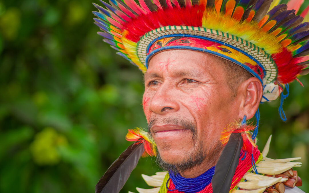 Más de un centenar de asistentes convocó la primera jornada del webinar “Cambio Climático: Una mirada desde los Pueblos Indígenas”