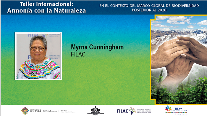 Cunningham: Marco Global para la biodiversidad post 2020 no debe ir contra los derechos de los pueblos indígenas