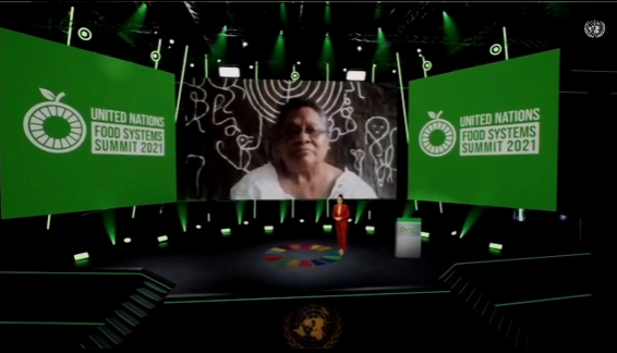Intervención de la Presidenta del FILAC, Myrna Cunningham: Apertura de la Cumbre de Sistemas Alimentarios