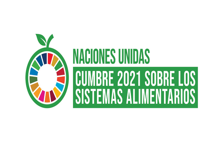 Cumbre de Sistemas Alimentarios de la ONU