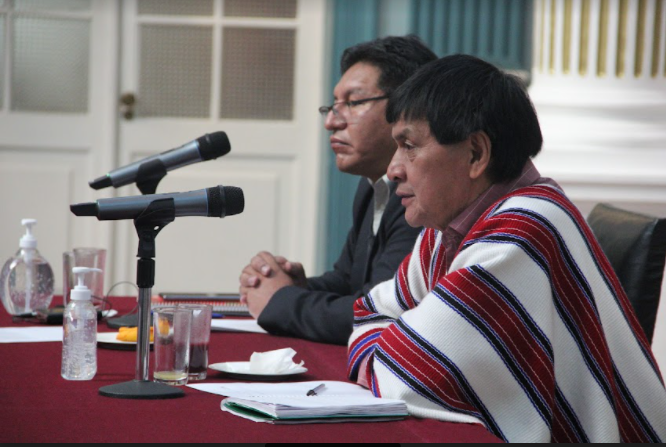 Pandemia y sus efectos, cambio climático y desterritorialización, temas de la agenda de la XV Asamblea General del FILAC