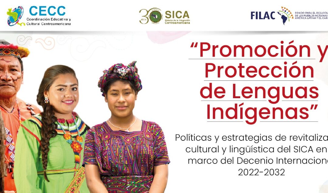 Webinar: La revitalización de las lenguas indígenas debe tomar en cuenta todos los demás derechos