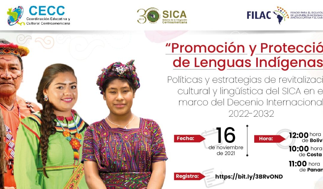 Webinar: Promoción y protección de las Lenguas Indígenas