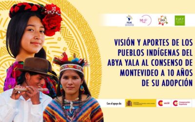 Visión y aportes de los Pueblos Indígenas del Abya Yala al Consenso de Montevideo a 10 años de su adopción