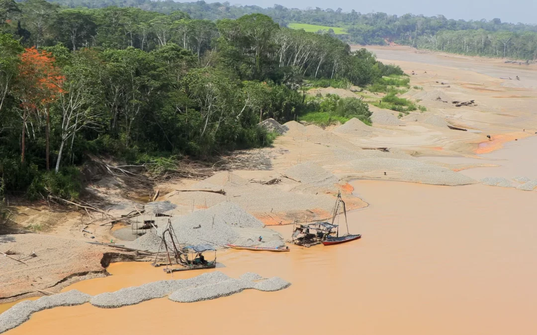 La batalla munduruku contra la minería: los peligros del mercurio entran en el aula