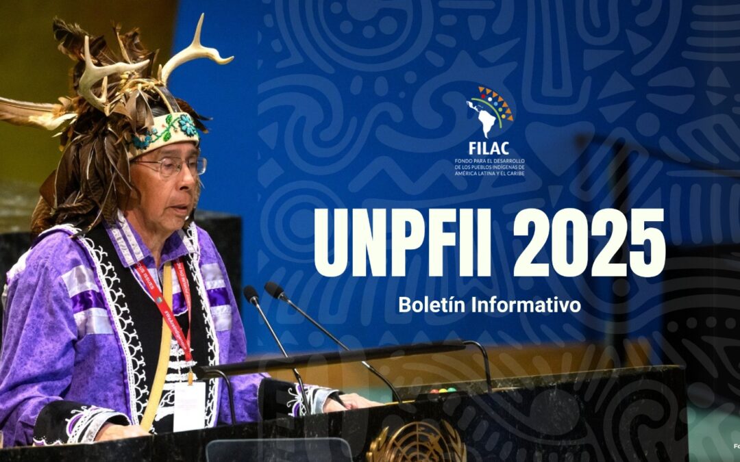 Boletin FILAC: 24º período de sesiones del Foro Permanente para las Cuestiones Indígenas de las Naciones Unidas