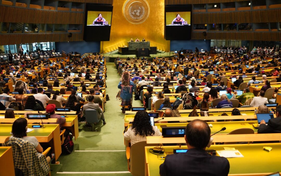 El Foro Permanente de la ONU emite importantes recomendaciones sobre los derechos de mujeres, niñez y Pueblos Indígenas