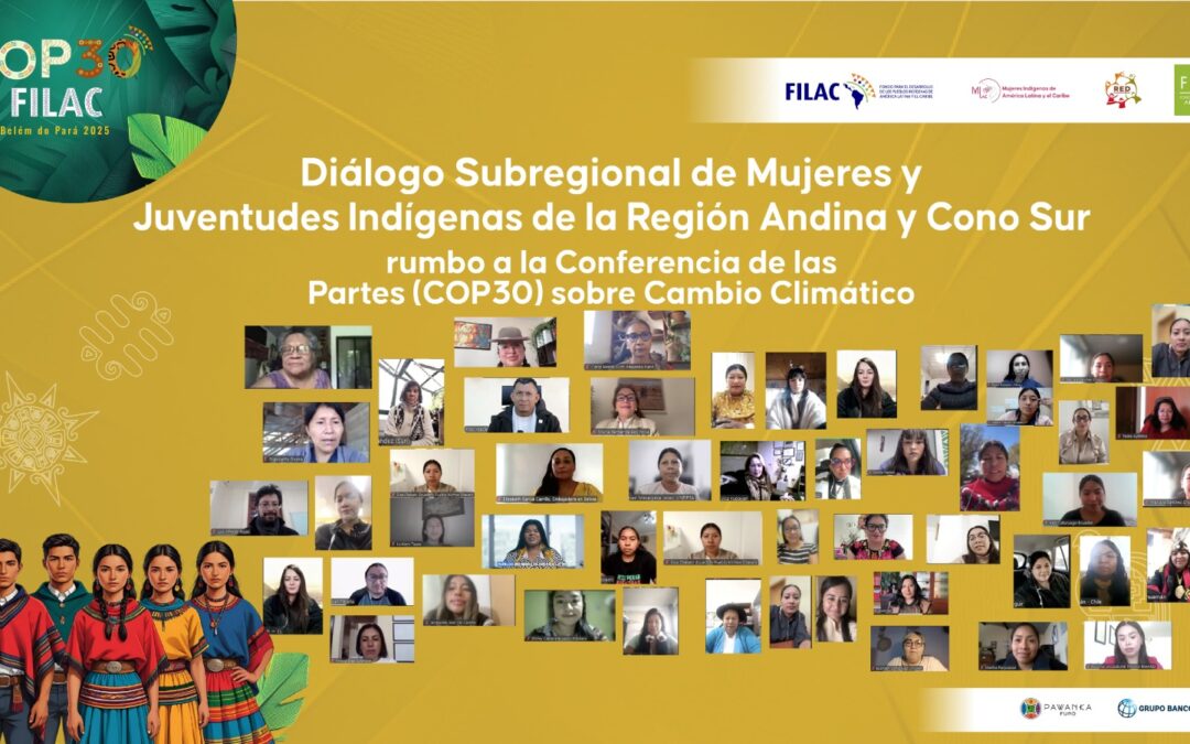 Diálogo Subregional Andino-Cono Sur rumbo a la COP30: Pueblos Indígenas reafirman su rol clave para lograr justicia climática con participación plena y efectiva