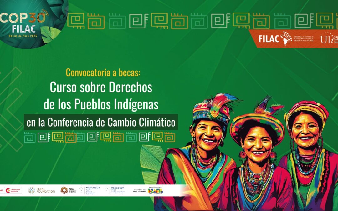 Convocatoria a becas: Curso sobre Derechos de los Pueblos Indígenas en la Conferencia de Cambio Climático