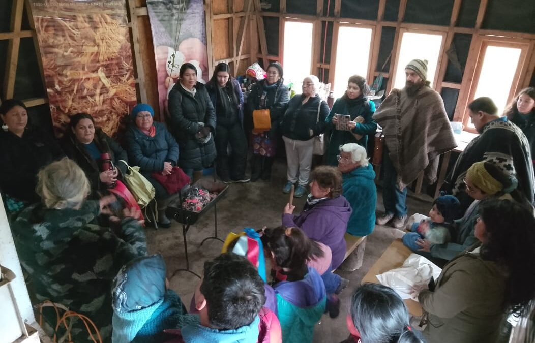 Cuando la semilla es raíz y esperanza: mujeres Mapuche-Lafkenche crean un laboratorio comunitario de aceite de avellana
