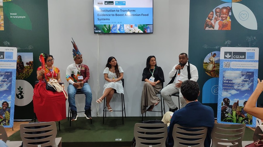 FILAC: Diversidad de los sistemas alimentarios indígenas contrasta con crecientes trabas políticas