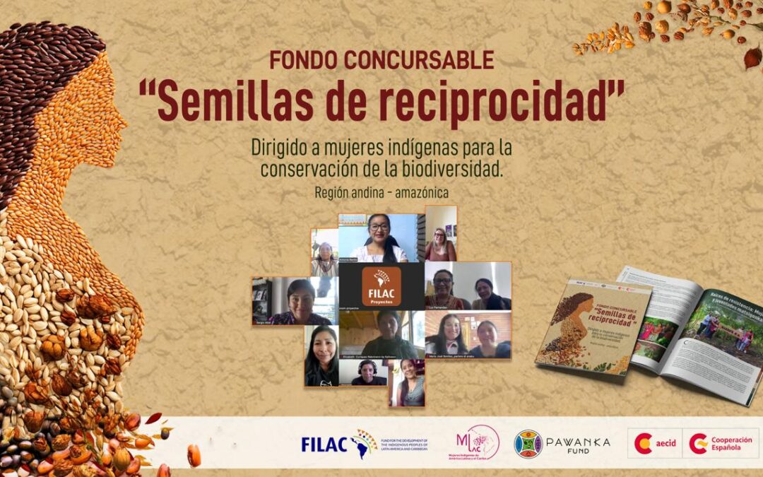 Semillas de Reciprocidad: una plataforma de liderazgo y autonomía para mujeres indígenas