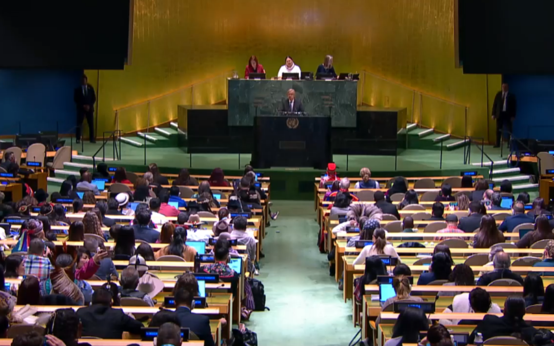 La ONU abre la 25ª sesión del Foro Permanente poniendo en el centro la salud y los Derechos de los Pueblos Indígenas