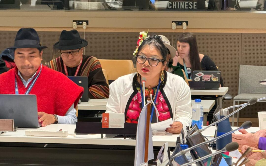 FILAC reafirma su compromiso con la implementación de los Derechos de los Pueblos Indígenas rumbo al 20° aniversario de la Declaración de la ONU